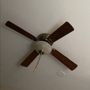 My ceiling fan